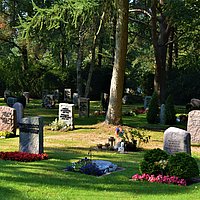 Mehrere Grabsteine auf einer Wiese mit Bäumen.