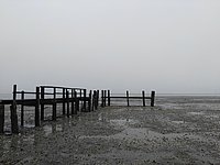 Ein hölzerner Steg im Wattenmeer bei bewölktem Wetter